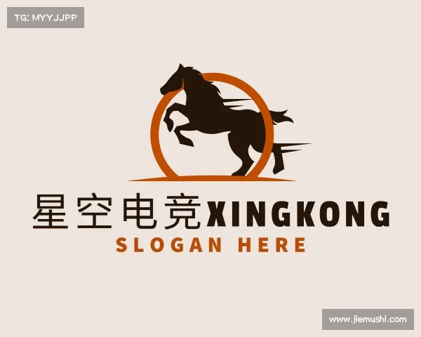 认识星空电竞xingkong